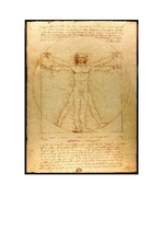 Essays 'Leonardo da Vinči "Vitrūvija cilvēks"', 3.