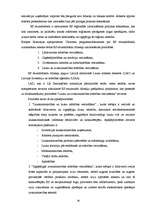 Term Papers 'Mazo un vidējo uzņēmumu kreditēšanas politika A/S "Latvijas Unibanka"', 19.