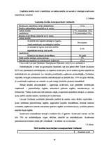 Term Papers 'Mazo un vidējo uzņēmumu kreditēšanas politika A/S "Latvijas Unibanka"', 46.