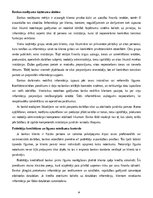 Summaries, Notes 'Banku tiesības', 19.