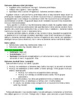 Summaries, Notes 'Elpošanas jeb respiratorā sistēma', 3.