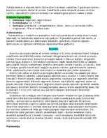 Summaries, Notes 'Elpošanas jeb respiratorā sistēma', 4.