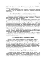 Research Papers 'Mazumtirdzniecības uzņēmuma "Latvijas Balzams" darbības analīze un plānošana', 13.