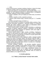Research Papers 'Mazumtirdzniecības uzņēmuma "Latvijas Balzams" darbības analīze un plānošana', 27.