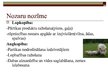 Presentations 'Ievads lauksaimniecībā', 14.