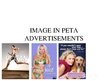 Research Papers 'Image in PETA Advertisements', 27.