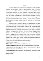 Term Papers 'Darba organizēšanas specifika mūsdienīgā pirmsskolas izglītības iestādē pedagogu', 7.