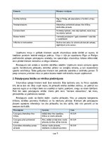 Business Plans 'Siltumsūkņu apkopes, filtru tīrīšanas un efektivitātes pārbaudes pakalpojuma biz', 5.