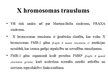 Presentations 'X hromosomas trauslums', 2.