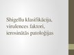 Presentations 'Shigellu klasifikācija, virulences faktori, ierosinātās patoloģijas', 1.