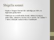 Presentations 'Shigellu klasifikācija, virulences faktori, ierosinātās patoloģijas', 7.
