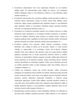 Research Papers 'Vadīšanas efektivitātes novērtēšana uzņēmumā IK "GrPak"', 22.