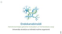 Presentations 'Endokanabinoīdi', 1.