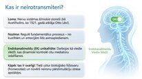 Presentations 'Endokanabinoīdi', 2.