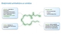 Presentations 'Endokanabinoīdi', 4.