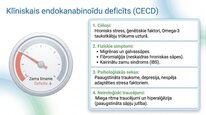 Presentations 'Endokanabinoīdi', 8.