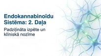 Presentations 'Endokanabinoīdi', 13.