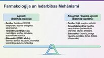 Presentations 'Endokanabinoīdi', 17.