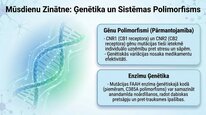 Presentations 'Endokanabinoīdi', 23.