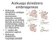 Presentations 'Aknu, aizkuņģa dziedzera histoloģija; gestācijas (grūtnieču) cukura diabēts', 12.