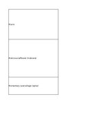 Summaries, Notes 'Technologies - terminology bank', 64.