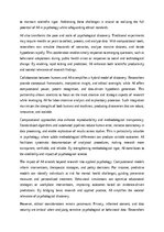 Essays 'Computational Scientific Discovery in Psychology and the Role of AI', 5.