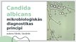 Presentations 'Candida albicans mikrobioloģiskās diagnostikas principi', 1.