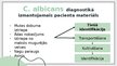 Presentations 'Candida albicans mikrobioloģiskās diagnostikas principi', 4.