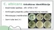 Presentations 'Candida albicans mikrobioloģiskās diagnostikas principi', 10.