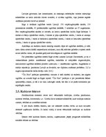 Research Papers 'SIA "Čilija Pizza"', 8.