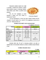 Research Papers 'SIA "Čilija Pizza"', 12.