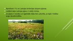 Presentations 'Ekosistēma - pļava', 4.