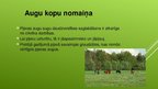 Presentations 'Ekosistēma - pļava', 9.