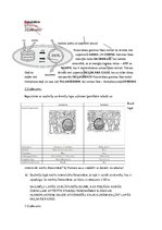 Summaries, Notes 'Fotosintēze, šūnu enereģētiskā vielmaiņa, mitoze un mejoze, dzīvnieku un cilvēka', 1.