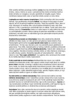Summaries, Notes 'Seno slāvu vēsture, kultūra, mitoloģija, sabiedrība un kultūras mantojums', 11.
