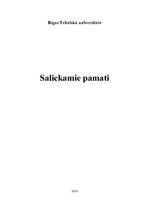 Research Papers 'Saliekamie pamati', 1.