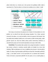 Term Papers 'Tīkla skaitļošanas iespējas un perspektīvas telekomunikāciju jomā', 18.