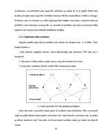 Term Papers 'Tīkla skaitļošanas iespējas un perspektīvas telekomunikāciju jomā', 92.