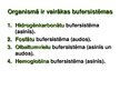Presentations 'Sporta bioķīmija', 19.