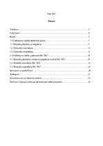 Research Papers 'Cilvēkresursu vadības procesa analīze organizācijā SIA "EO"', 2.
