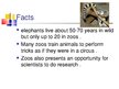 Presentations 'Keeping Wild Animals in Zoos', 10.