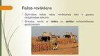Research Papers 'Ziemas rudzu audzēšanas tehnoloģija, produktivitāte un izmantošana', 36.