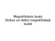 Presentations 'Magnētiskais lauks.Strāva un lādiņi magnētiskajā laukā', 1.