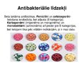 Presentations 'Antibiotiku izvēle grūtniecības laikā', 5.