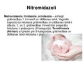 Presentations 'Antibiotiku izvēle grūtniecības laikā', 12.