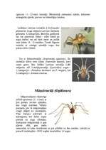 Research Papers 'Zirnekļveidīgie', 3.