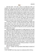 Essays 'A.Bela romāna "Būris" recenzija', 1.