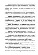 Practice Reports 'Restorāna pakalpojumu komerczinības', 9.
