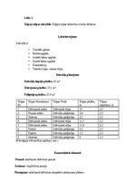 Samples 'Dzīvokļa vērtības noteikšana', 5.