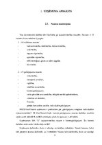 Practice Reports 'SIA "X" iekšējās darba kārtības un grāmatvedības kārtošanas apraksts un analīze', 11.